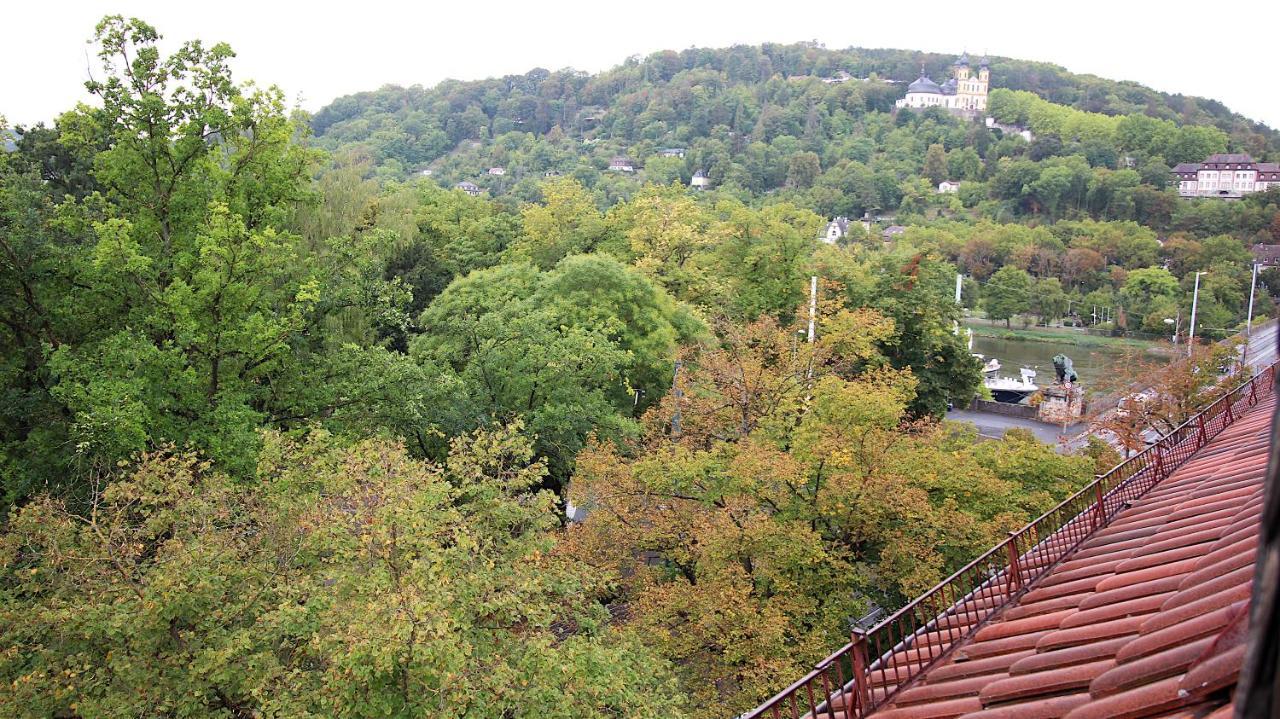 Zentrale Stadtwohnung - Direkt Am Main, Park-Ausblick Würzburg Exteriör bild